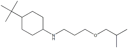 4-tert-butyl-N-[3-(2-methylpropoxy)propyl]cyclohexan-1-amine 结构式