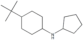 4-tert-butyl-N-cyclopentylcyclohexan-1-amine 结构式