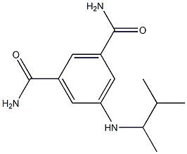 5-[(3-methylbutan-2-yl)amino]benzene-1,3-dicarboxamide 结构式