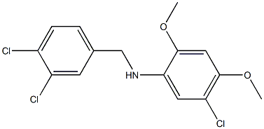 5-chloro-N-[(3,4-dichlorophenyl)methyl]-2,4-dimethoxyaniline 结构式