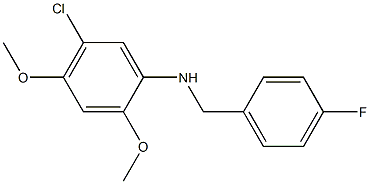 5-chloro-N-[(4-fluorophenyl)methyl]-2,4-dimethoxyaniline 结构式