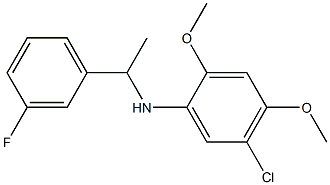 5-chloro-N-[1-(3-fluorophenyl)ethyl]-2,4-dimethoxyaniline 结构式