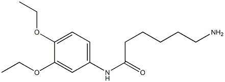 6-amino-N-(3,4-diethoxyphenyl)hexanamide 结构式