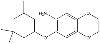 7-[(3,3,5-trimethylcyclohexyl)oxy]-2,3-dihydro-1,4-benzodioxin-6-amine 结构式