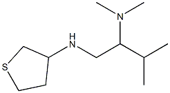 dimethyl[3-methyl-1-(thiolan-3-ylamino)butan-2-yl]amine 结构式