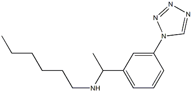 hexyl({1-[3-(1H-1,2,3,4-tetrazol-1-yl)phenyl]ethyl})amine 结构式