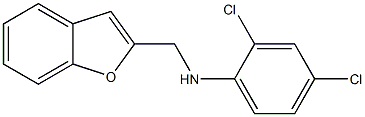 N-(1-benzofuran-2-ylmethyl)-2,4-dichloroaniline 结构式