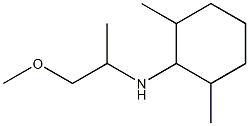 N-(1-methoxypropan-2-yl)-2,6-dimethylcyclohexan-1-amine 结构式