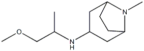 N-(1-methoxypropan-2-yl)-8-methyl-8-azabicyclo[3.2.1]octan-3-amine 结构式