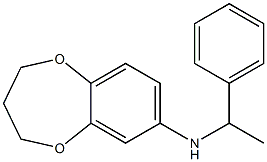 N-(1-phenylethyl)-3,4-dihydro-2H-1,5-benzodioxepin-7-amine 结构式