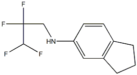 N-(2,2,3,3-tetrafluoropropyl)-2,3-dihydro-1H-inden-5-amine 结构式