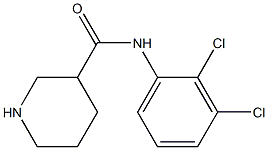 N-(2,3-dichlorophenyl)piperidine-3-carboxamide 结构式