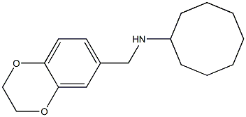 N-(2,3-dihydro-1,4-benzodioxin-6-ylmethyl)cyclooctanamine 结构式