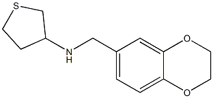 N-(2,3-dihydro-1,4-benzodioxin-6-ylmethyl)thiolan-3-amine 结构式