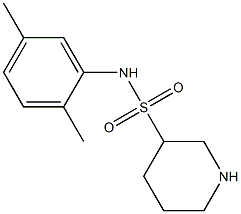 N-(2,5-dimethylphenyl)piperidine-3-sulfonamide 结构式