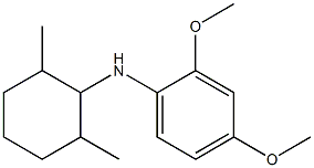N-(2,6-dimethylcyclohexyl)-2,4-dimethoxyaniline 结构式