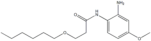N-(2-amino-4-methoxyphenyl)-3-(hexyloxy)propanamide 结构式