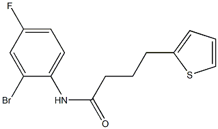 N-(2-bromo-4-fluorophenyl)-4-(thiophen-2-yl)butanamide 结构式