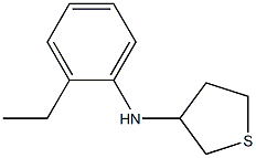 N-(2-ethylphenyl)thiolan-3-amine 结构式