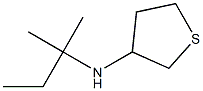 N-(2-methylbutan-2-yl)thiolan-3-amine 结构式