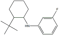 N-(2-tert-butylcyclohexyl)-3-fluoroaniline 结构式