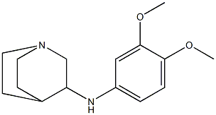 N-(3,4-dimethoxyphenyl)-1-azabicyclo[2.2.2]octan-3-amine 结构式