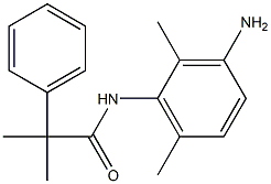 N-(3-amino-2,6-dimethylphenyl)-2-methyl-2-phenylpropanamide 结构式