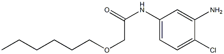 N-(3-amino-4-chlorophenyl)-2-(hexyloxy)acetamide 结构式