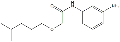 N-(3-aminophenyl)-2-[(4-methylpentyl)oxy]acetamide 结构式