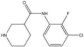 N-(3-chloro-2-fluorophenyl)piperidine-3-carboxamide 结构式