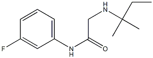 N-(3-fluorophenyl)-2-[(2-methylbutan-2-yl)amino]acetamide 结构式