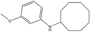 N-(3-methoxyphenyl)cyclooctanamine 结构式