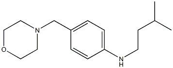 N-(3-methylbutyl)-4-(morpholin-4-ylmethyl)aniline 结构式