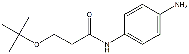 N-(4-aminophenyl)-3-(tert-butoxy)propanamide 结构式