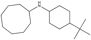 N-(4-tert-butylcyclohexyl)cyclooctanamine 结构式