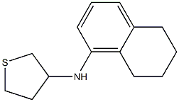 N-(5,6,7,8-tetrahydronaphthalen-1-yl)thiolan-3-amine 结构式