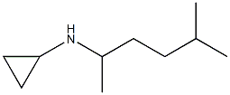 N-(5-methylhexan-2-yl)cyclopropanamine 结构式