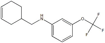 N-(cyclohex-3-en-1-ylmethyl)-3-(trifluoromethoxy)aniline 结构式