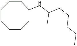 N-(heptan-2-yl)cyclooctanamine 结构式