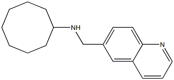 N-(quinolin-6-ylmethyl)cyclooctanamine 结构式