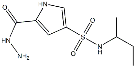 N-(sec-butyl)-5-(hydrazinocarbonyl)-1H-pyrrole-3-sulfonamide 结构式