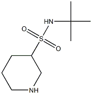 N-(tert-butyl)piperidine-3-sulfonamide 结构式