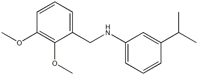 N-[(2,3-dimethoxyphenyl)methyl]-3-(propan-2-yl)aniline 结构式