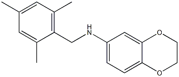 N-[(2,4,6-trimethylphenyl)methyl]-2,3-dihydro-1,4-benzodioxin-6-amine 结构式