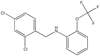 N-[(2,4-dichlorophenyl)methyl]-2-(trifluoromethoxy)aniline 结构式