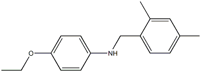 N-[(2,4-dimethylphenyl)methyl]-4-ethoxyaniline 结构式