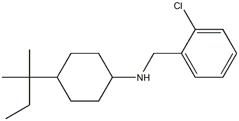 N-[(2-chlorophenyl)methyl]-4-(2-methylbutan-2-yl)cyclohexan-1-amine 结构式