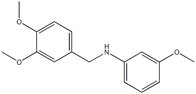 N-[(3,4-dimethoxyphenyl)methyl]-3-methoxyaniline 结构式