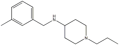 N-[(3-methylphenyl)methyl]-1-propylpiperidin-4-amine 结构式