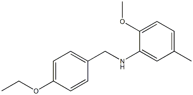 N-[(4-ethoxyphenyl)methyl]-2-methoxy-5-methylaniline 结构式